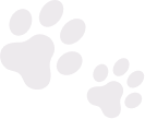 doggie foot prints