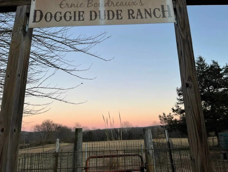 doggie dude ranch pictures of ranch