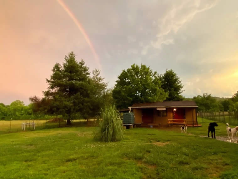 doggie dude ranch pictures of ranch