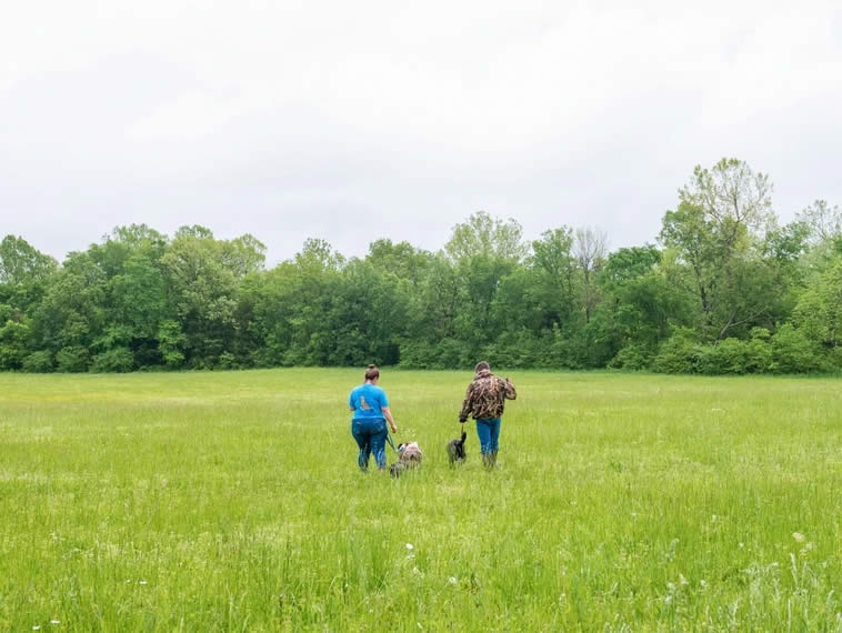 doggie dude ranch pictures of ranch